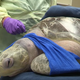 Tucker getting ready for his experimental treatment in a hyperbaric chamber. Image Seattle’s Virginia Mason Hospital